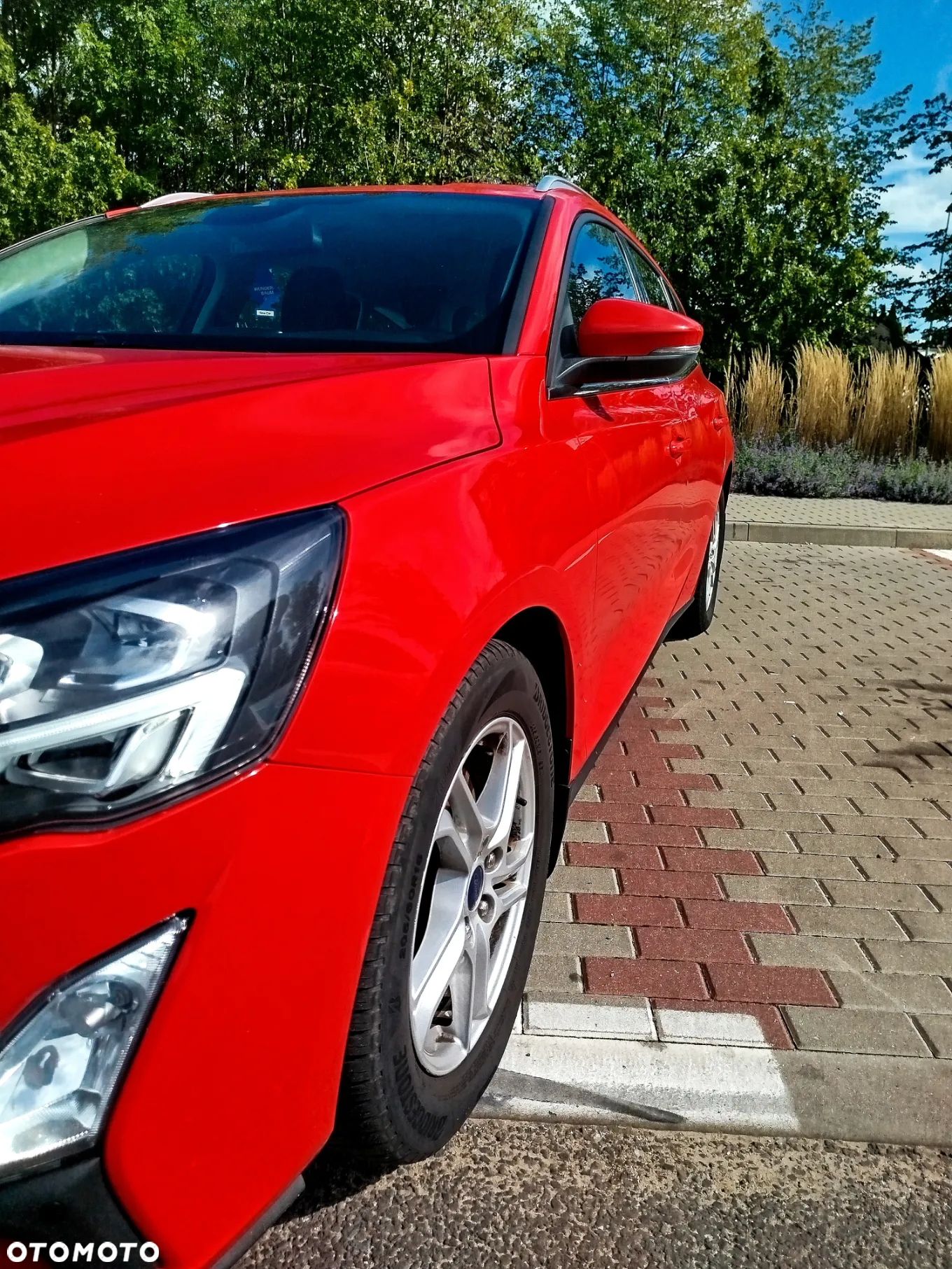 Ford Focus 1.5 EcoBlue Trend Edition - 5