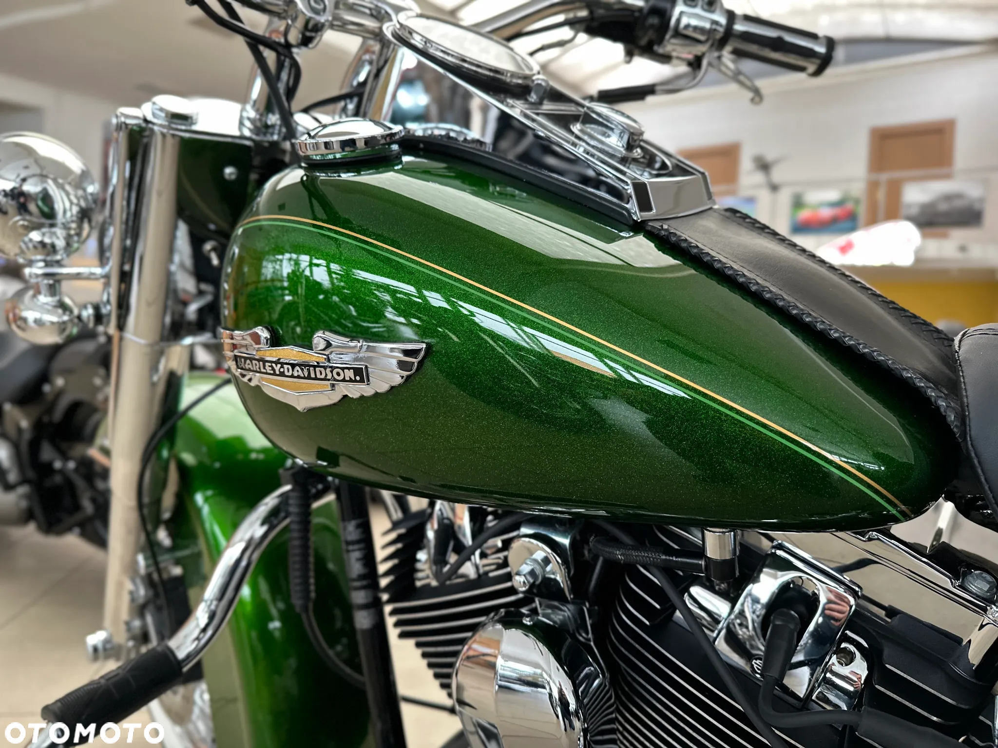 Harley-Davidson Softail - 21