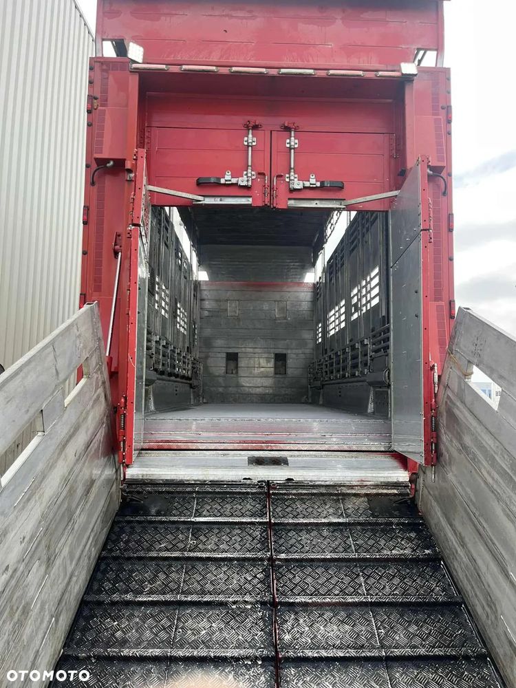 DAF XF 530 Super Space + Przyczepa Pezzaoli - 3X Trzoda, 2 X Bydło I 3 poziomy I Podnoszony dach I Hydroburta I Osie Skrętne I Poidła I Wentylatory I Pilot Manualny | - 5