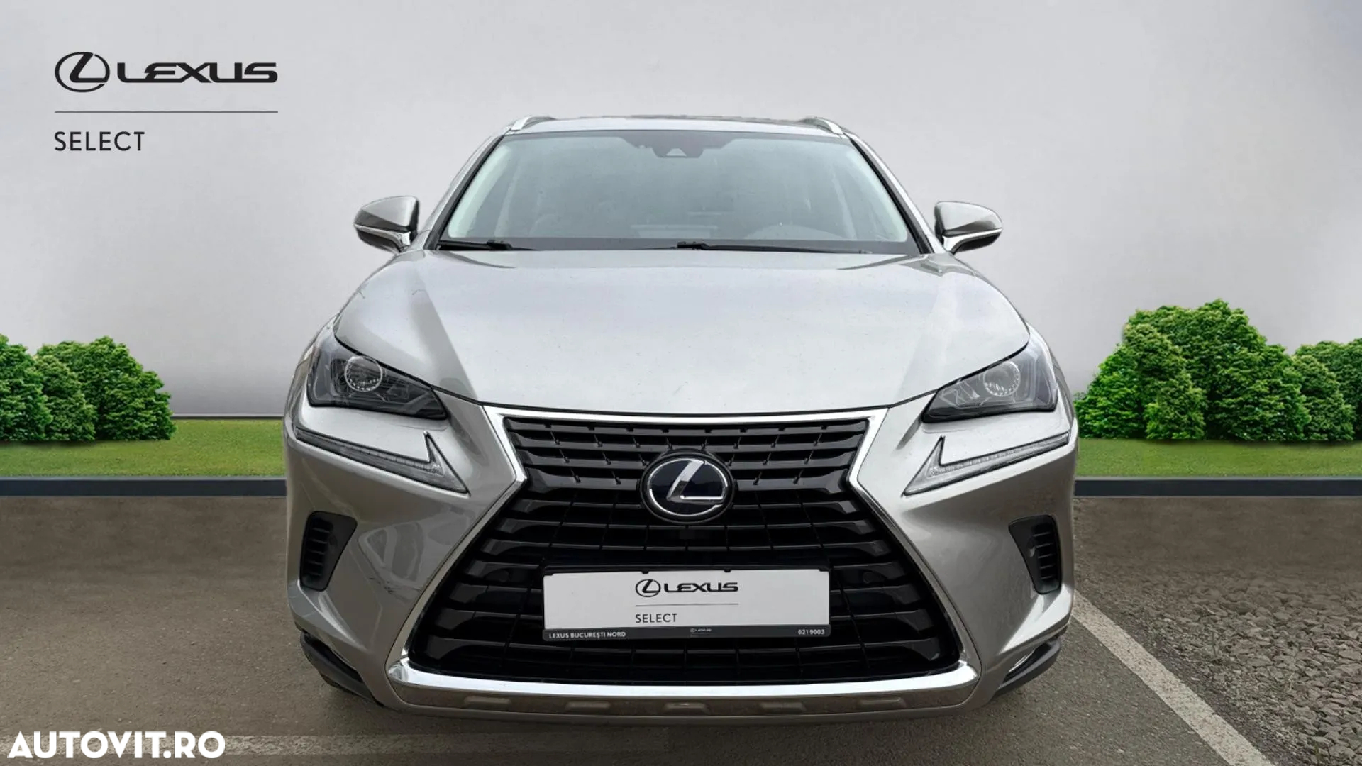 Lexus Seria NX 300h AWD Executive Plus - 32