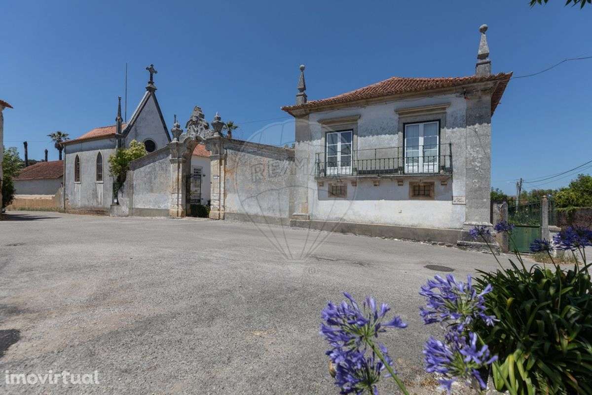 Solar T13 para venda - Grande imagem: 2/48