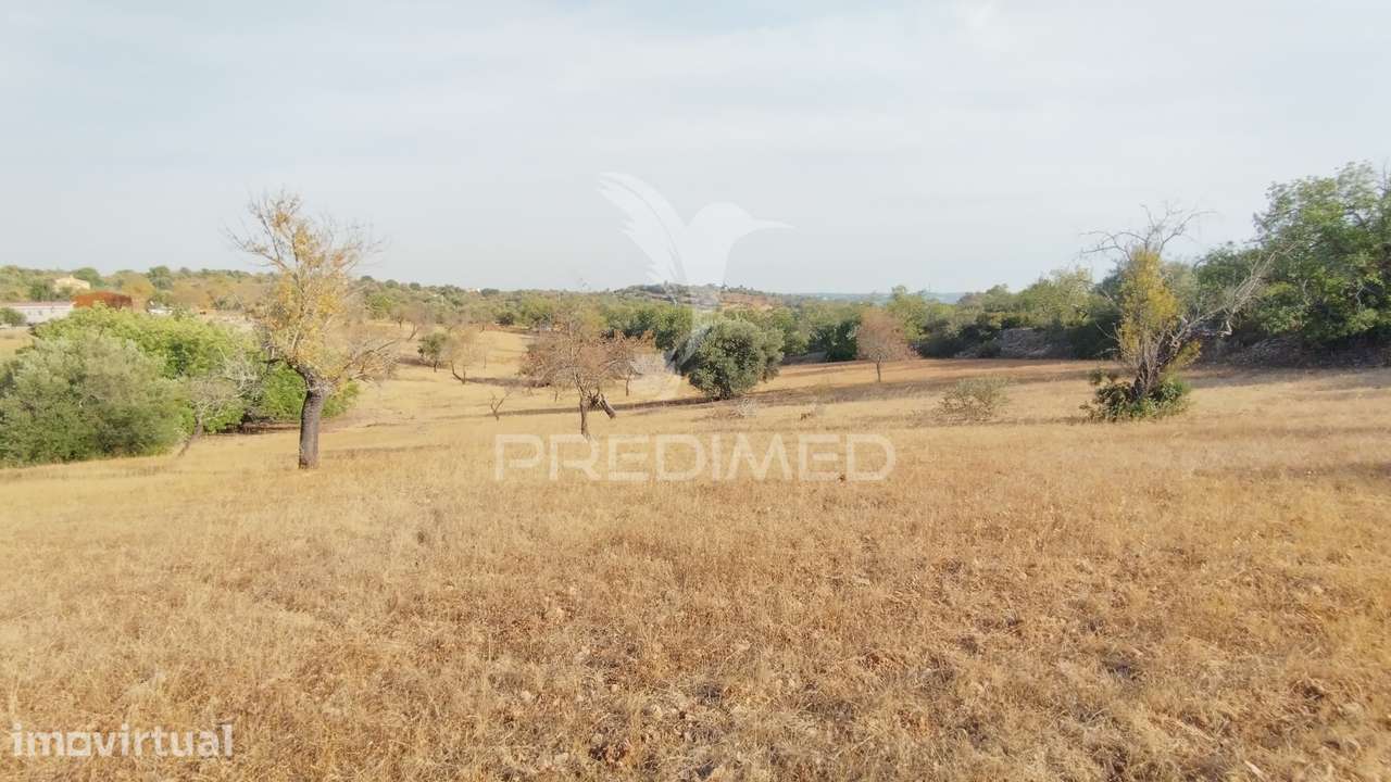 Terreno rustico vista mar Alcaria Cova Estoi - Grande imagem: 4/9
