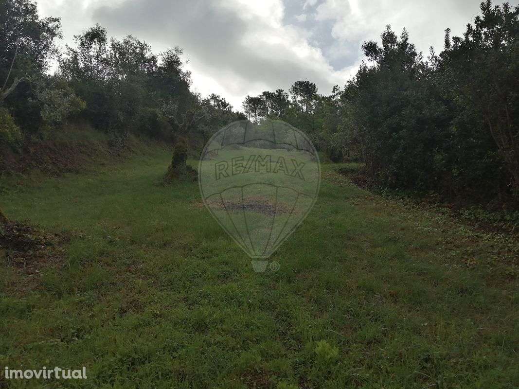 Terreno  para venda - Grande imagem: 2/4