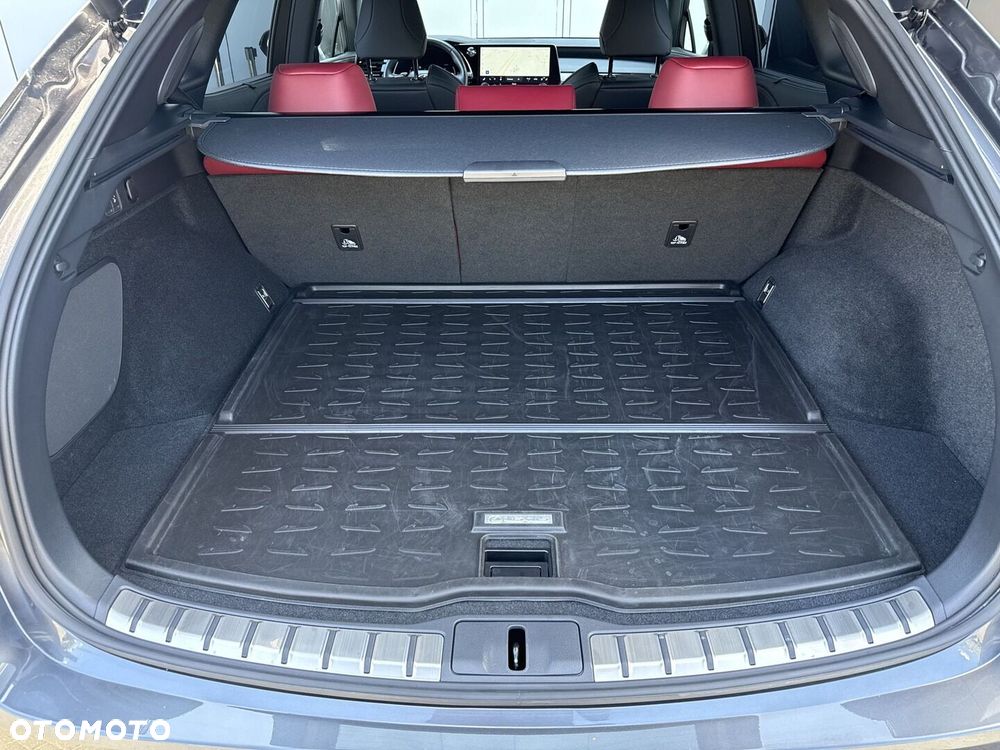 Lexus RX - 22