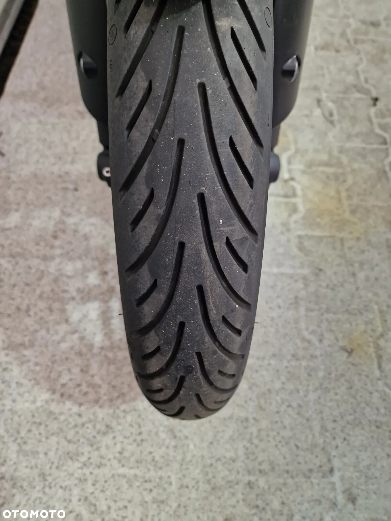 Triumph Tiger - 8