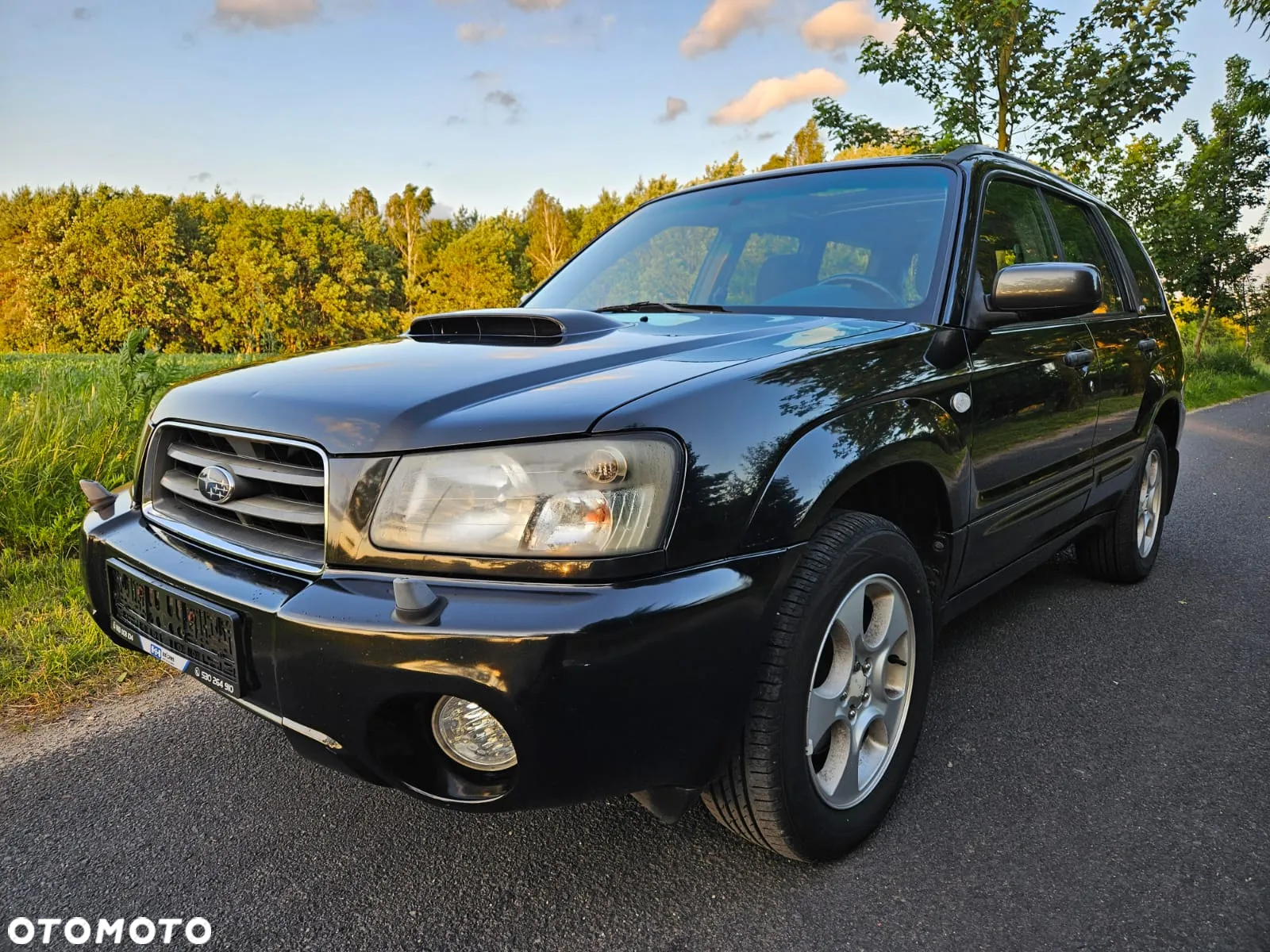 Subaru Forester - 19