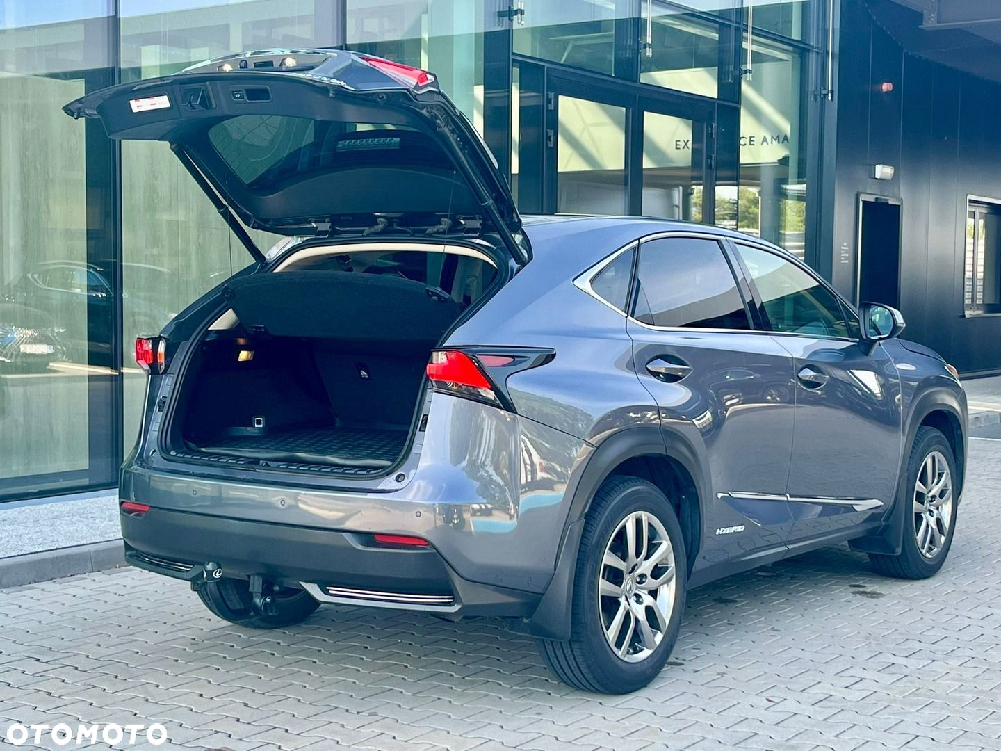 Lexus NX - 34