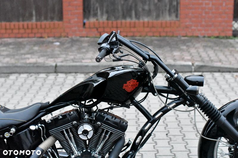 Harley-Davidson Inny - 10