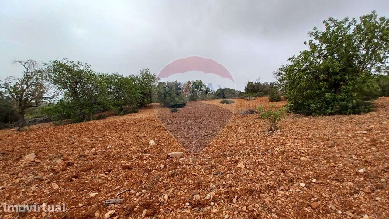 Terreno  para venda - Grande imagem: 2/6