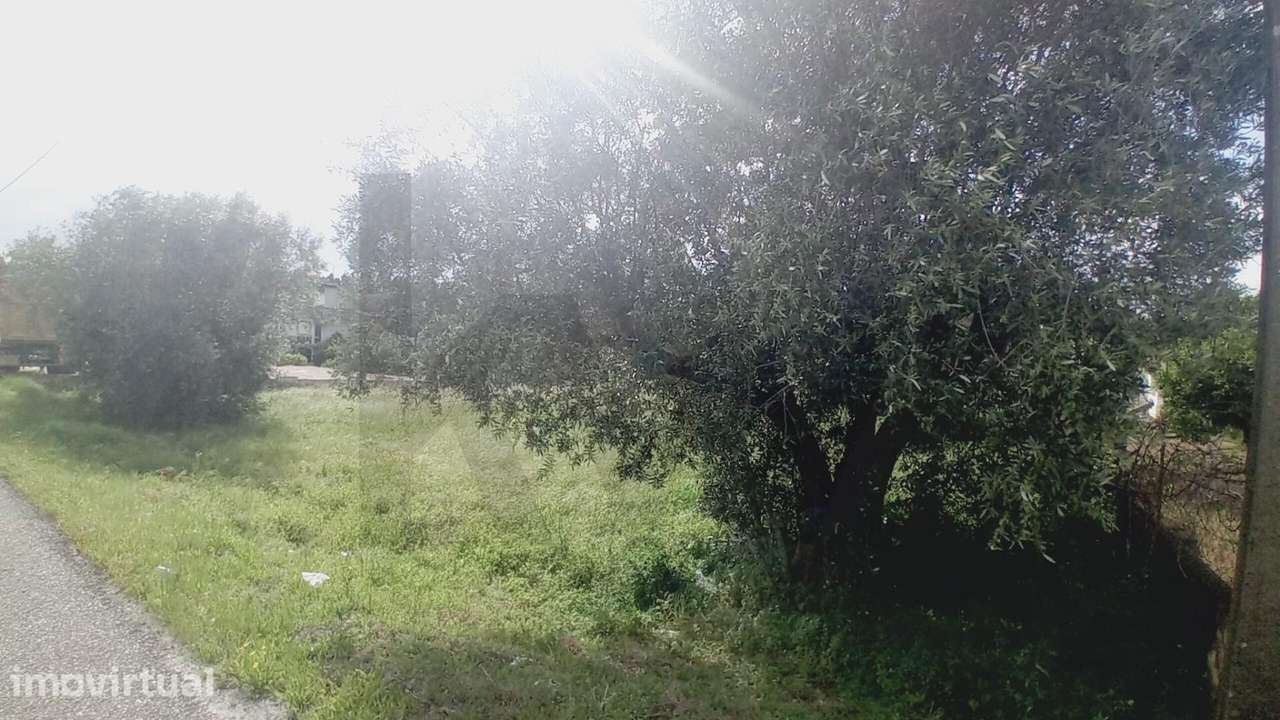 Terreno Rústico com Potencial de Construção – Venda Nova, Zona Cent - Grande imagem: 3/12