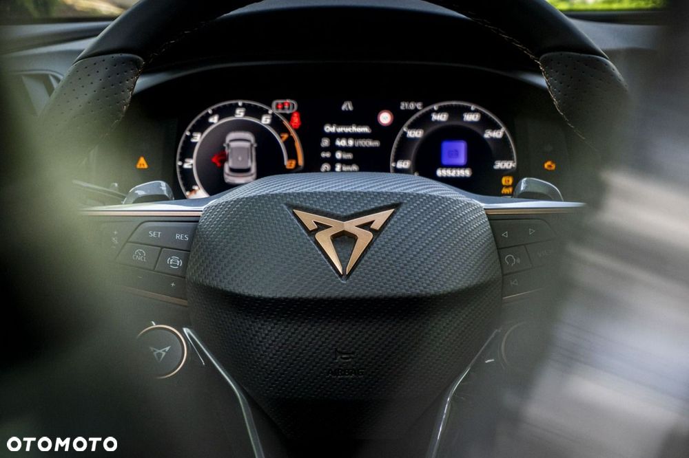 Cupra Terramar - 30