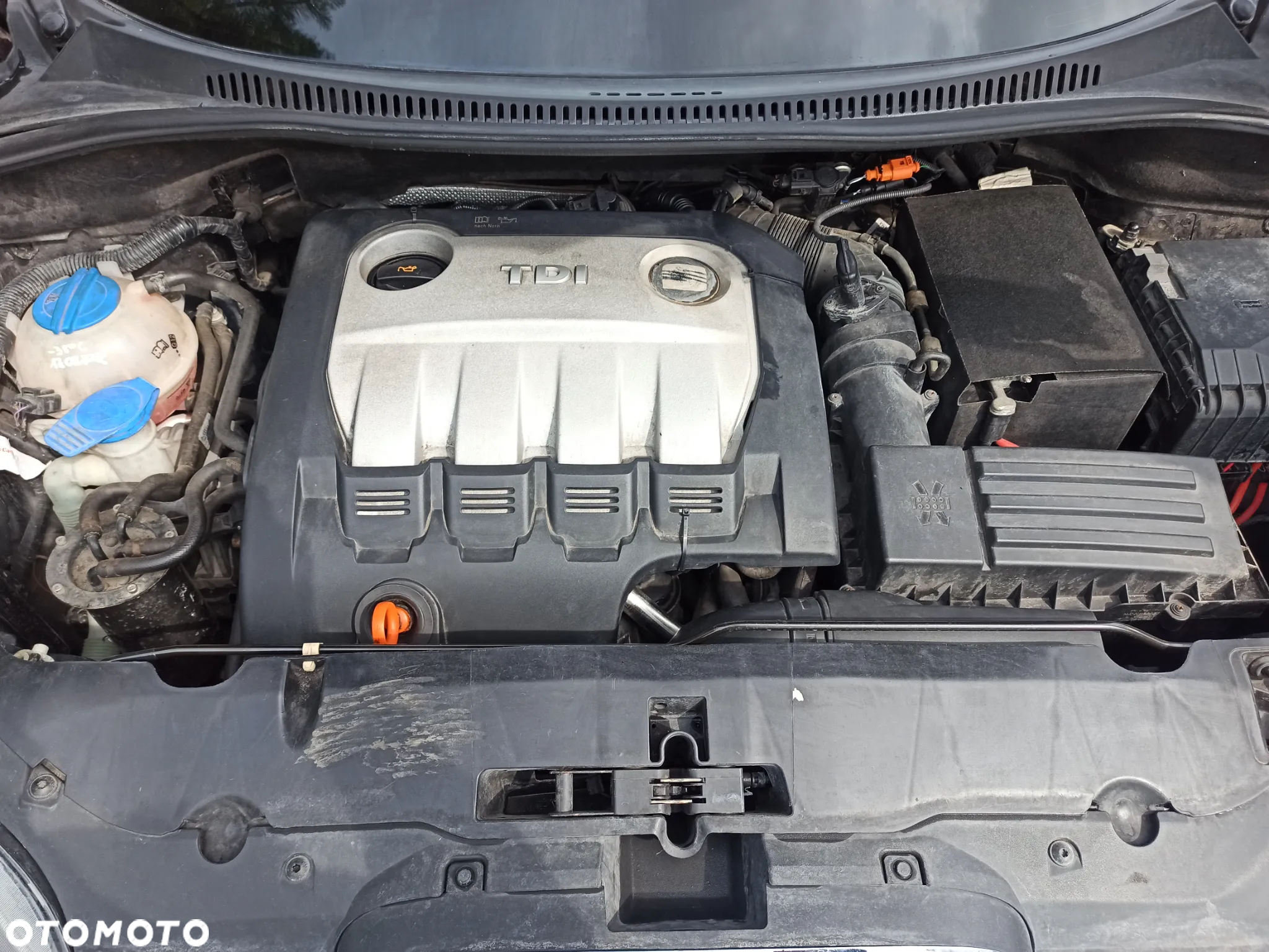 Seat Altea 2.0 TDI FR - 13