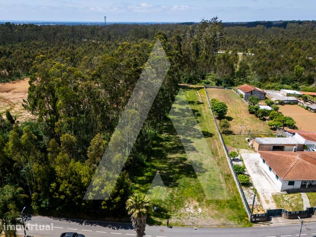 Terreno com 2600m2 para construção em Válega - Ovar - Grande imagem: 4/12