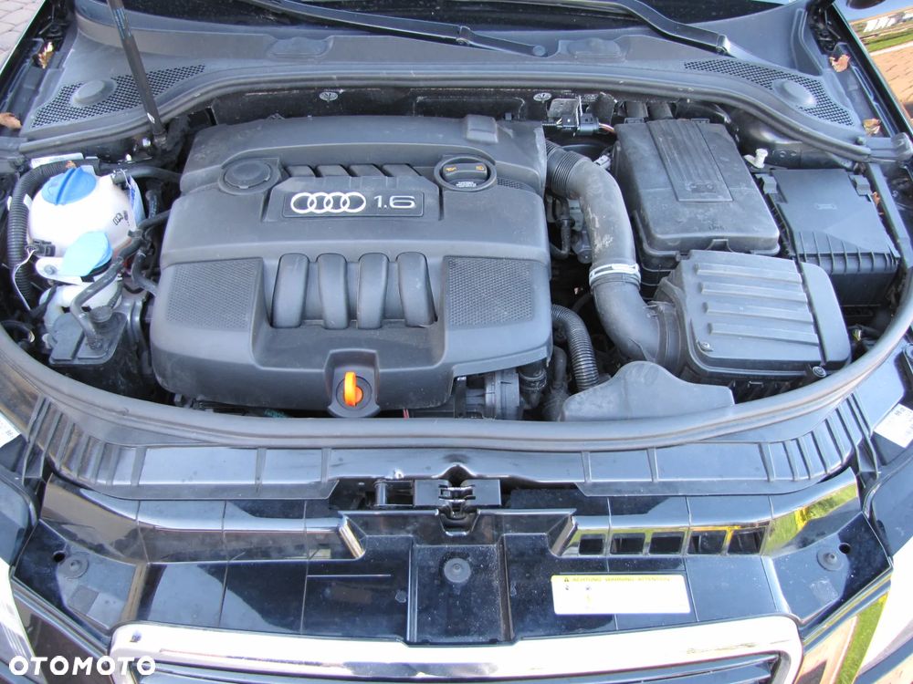 Audi A3 Sportback 1.6 Ambiente - 18