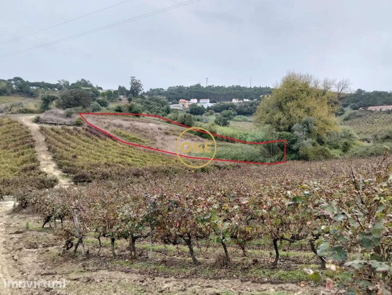 Terreno Rústico com 3312 m2 - Sobral da Abelheira e Azueira - Grande imagem: 2/10