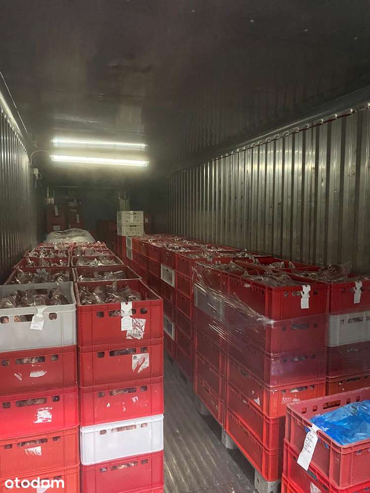 Nieruchomość przemysłowa z budynkami produkcyjno-magazynowymi - Lisewo - Pełny obrazek: 4/12