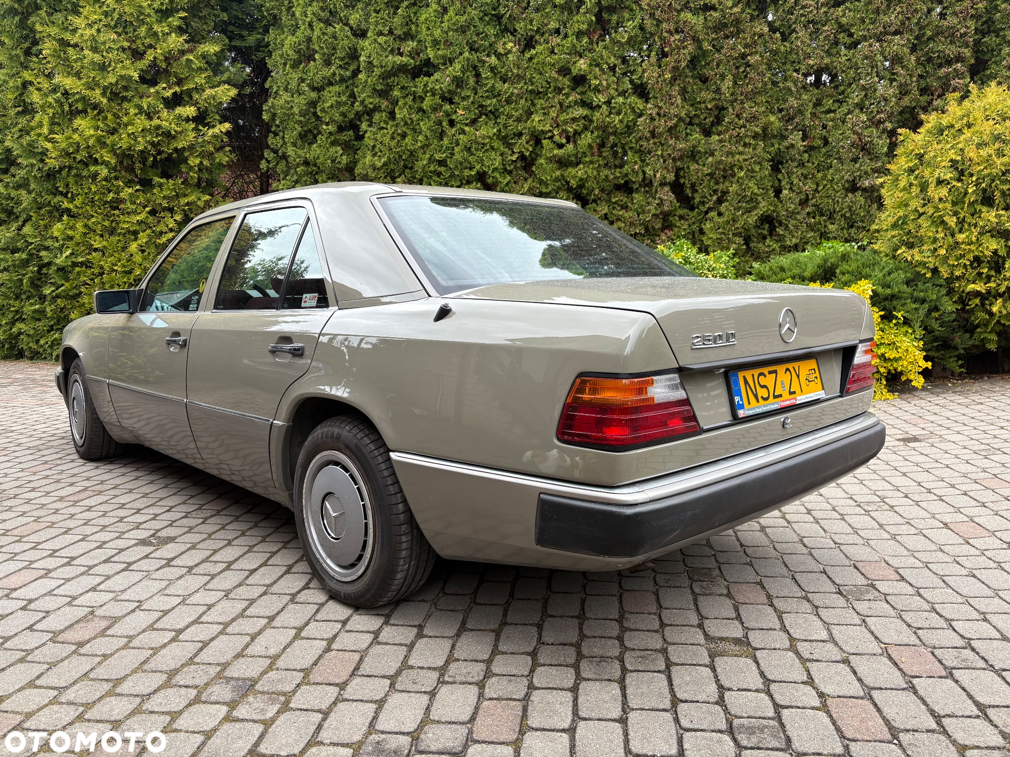 Mercedes-Benz W124 (1984-1993) - 3