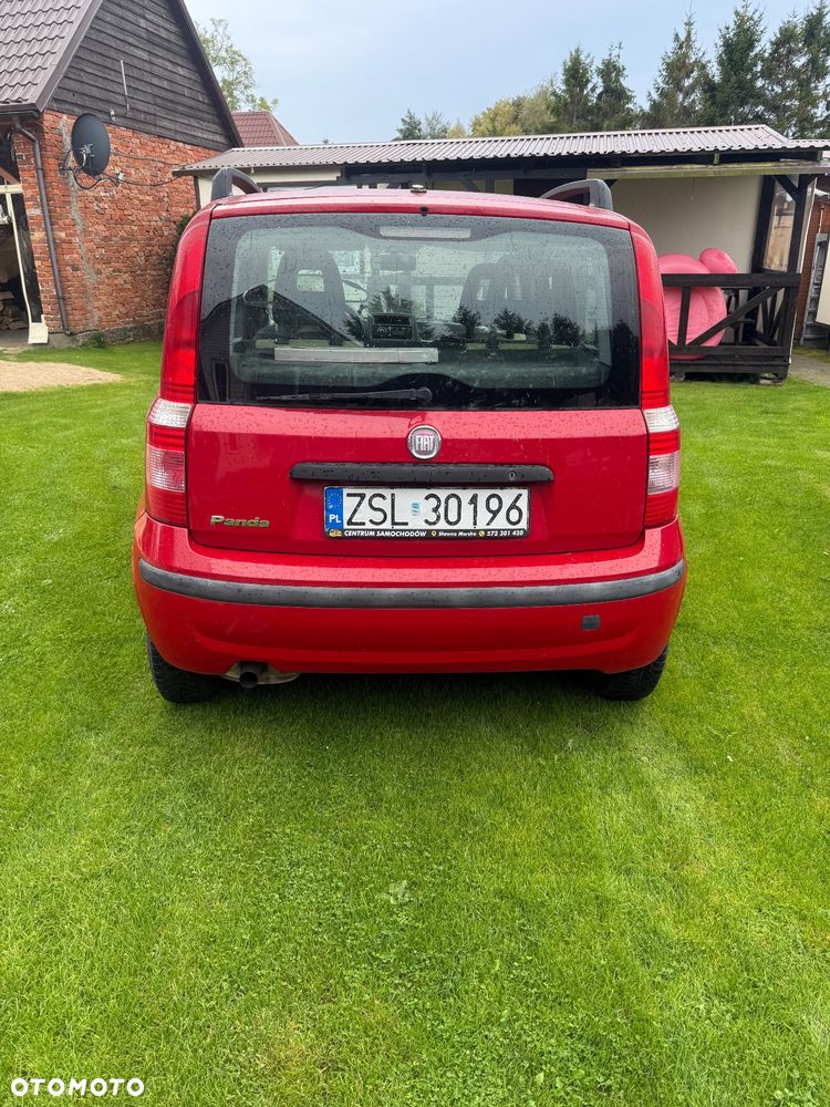 Fiat Panda - 3