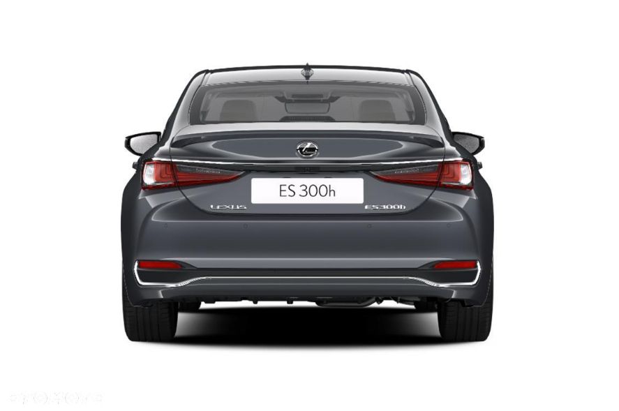 Lexus ES 300h Omotenashi - 7