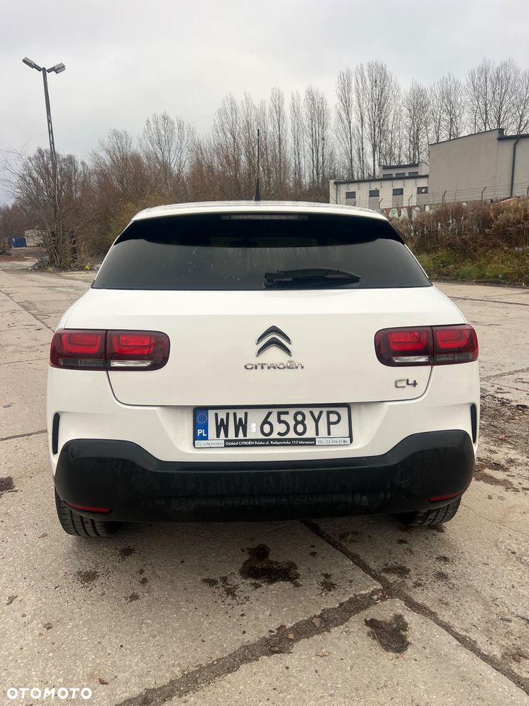 Citroën C4 Cactus 1.2 PureTech GPF Shine S&S EAT6 - 8