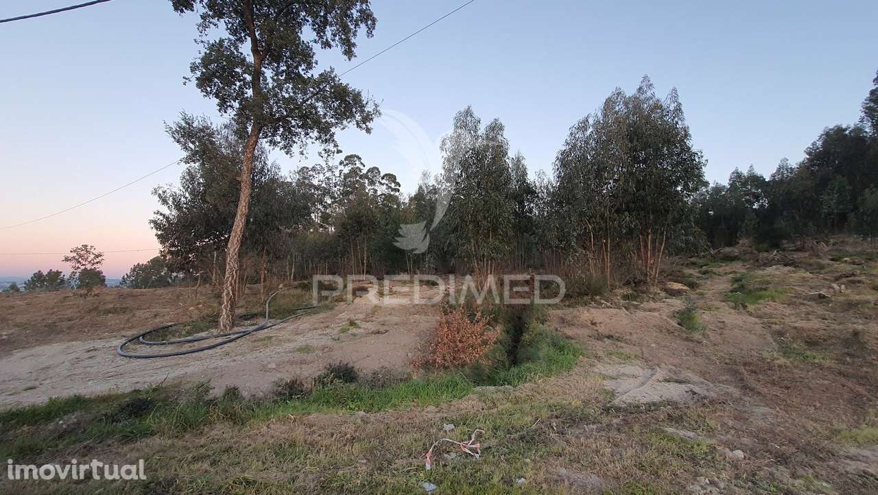 Terreno - Grande imagem: 2/5