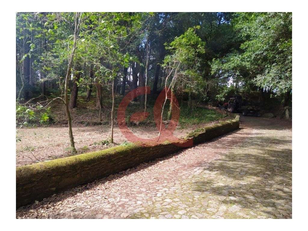 Terreno - Seixas - Caminha - Grande imagem: 4/10