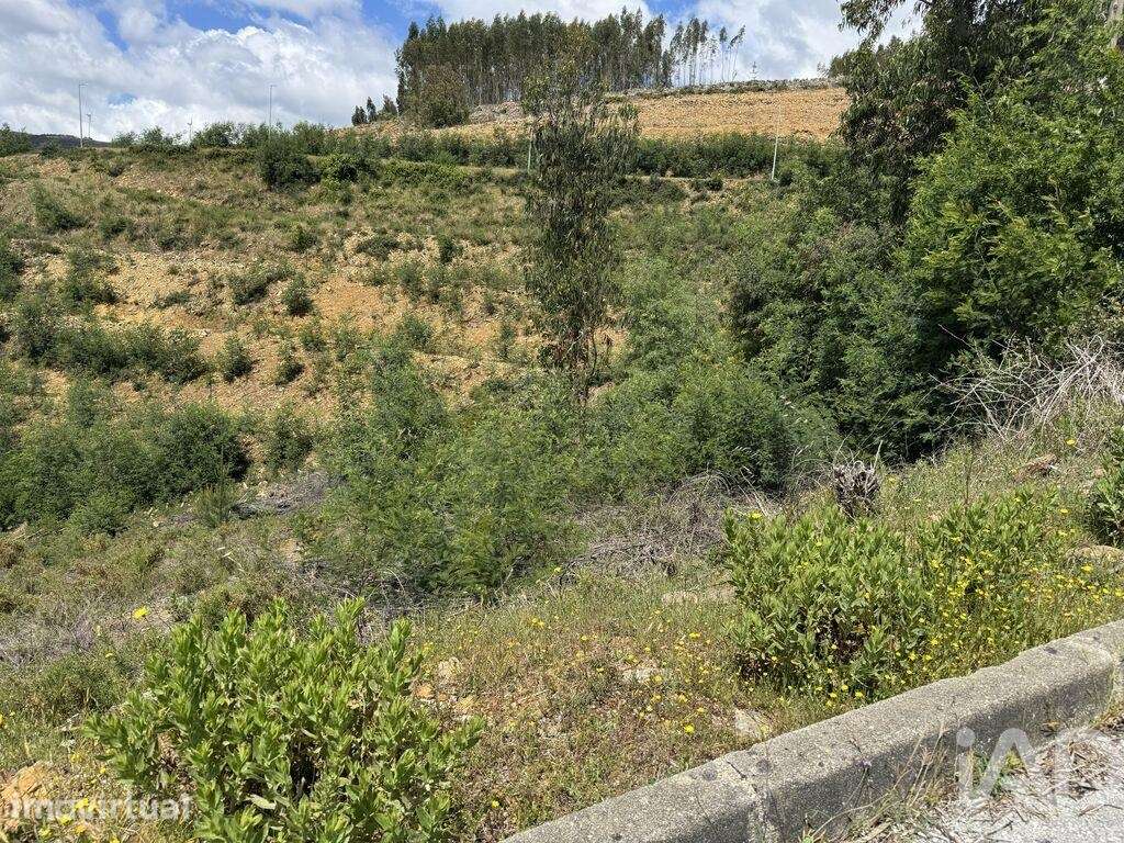 Terreno para construção em Castanheira de Pêra e Coentral - Grande imagem: 2/22