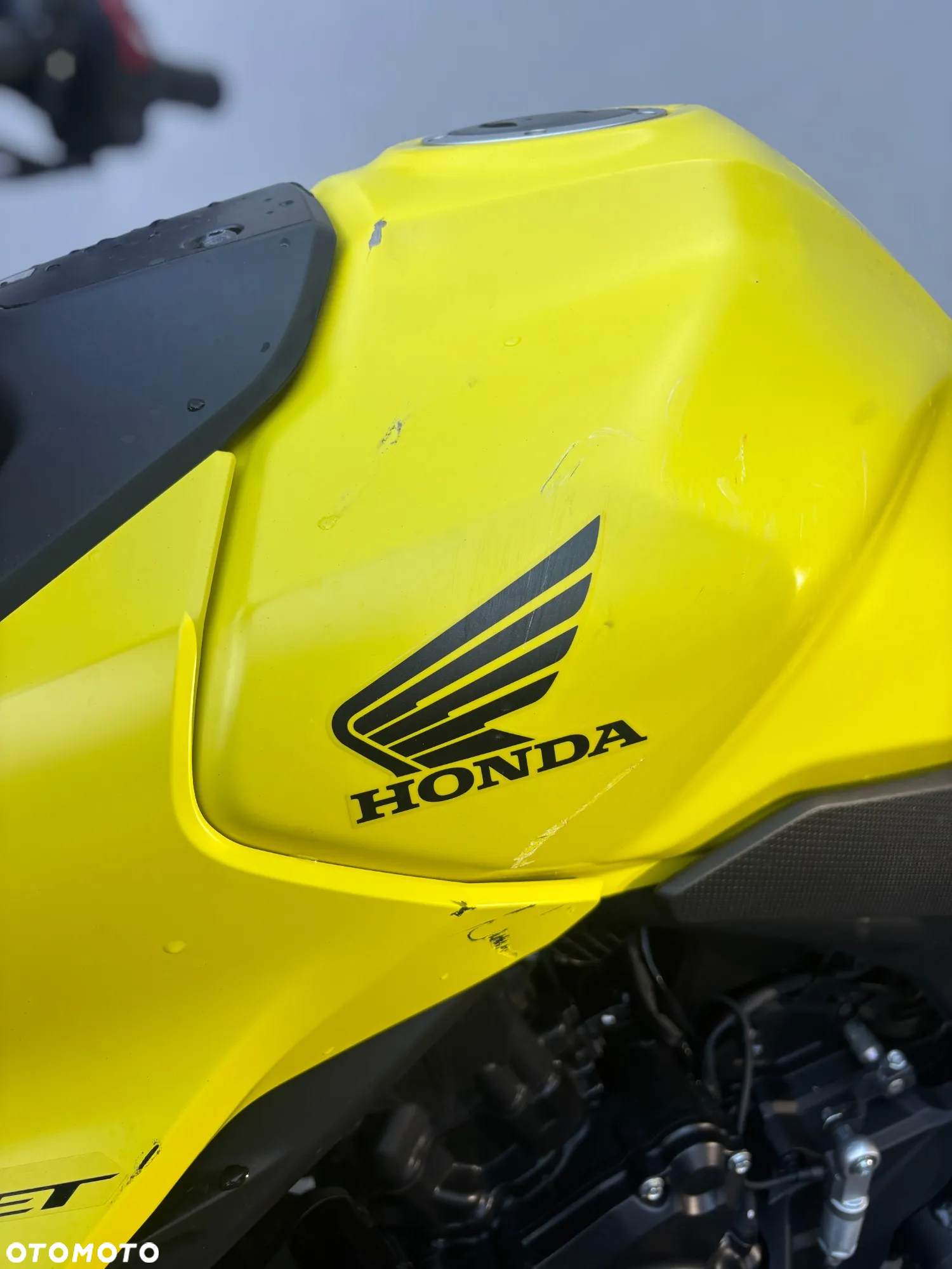 Honda Hornet - 10