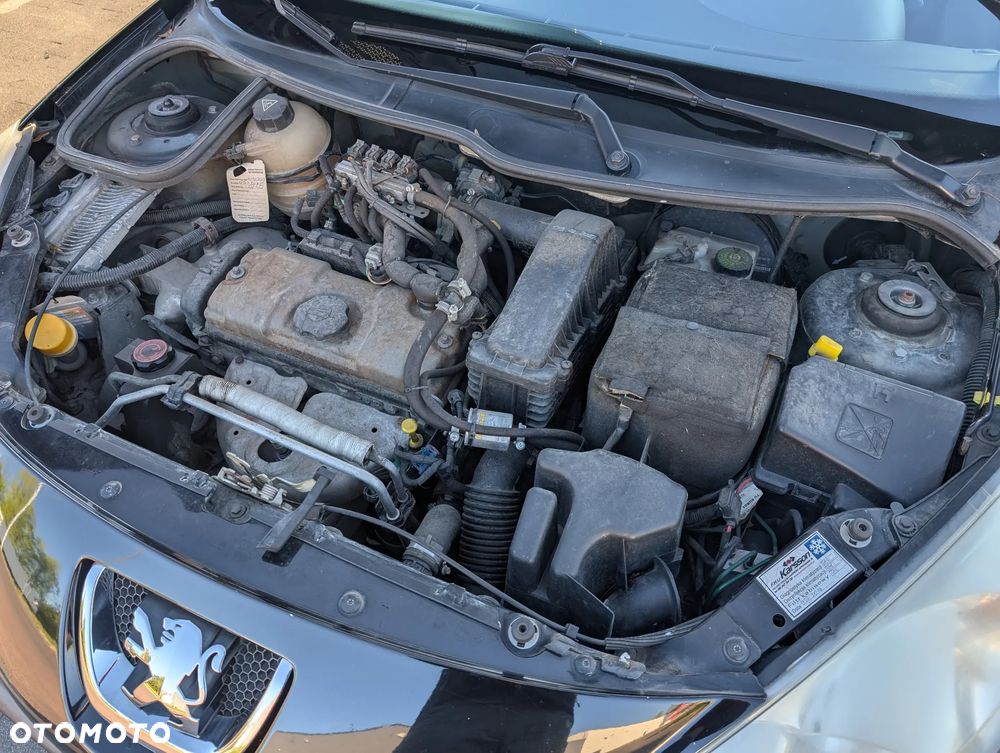Peugeot 206 - 13