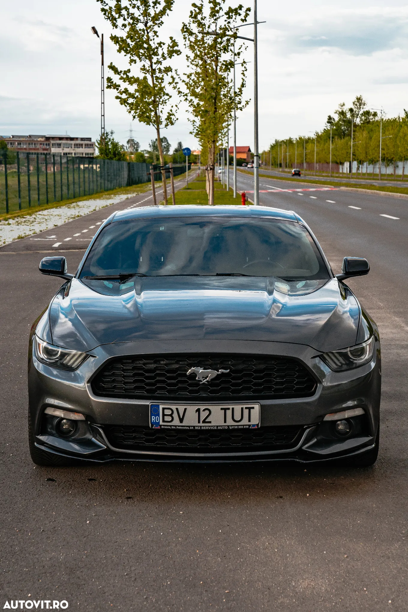 Ford Mustang 2.3 EcoBoost Aut. - 5