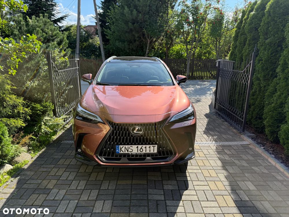 Lexus NX 350h Omotenashi AWD - 1