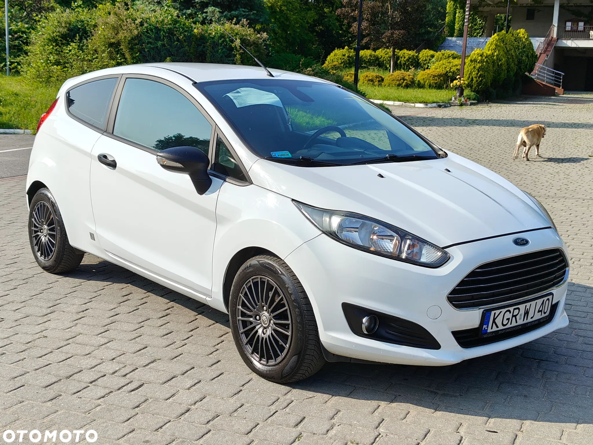 Ford Fiesta 1.4 TDCi Ambiente - 12