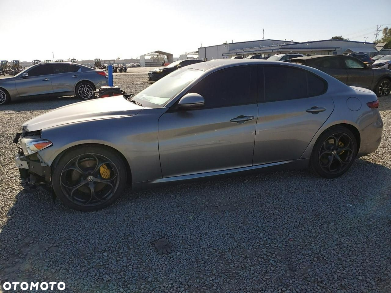 Alfa Romeo Giulia - 2