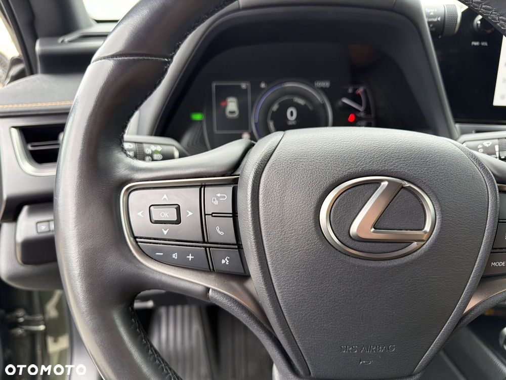 Lexus UX 250h GPF F Sport Design 2WD - 22