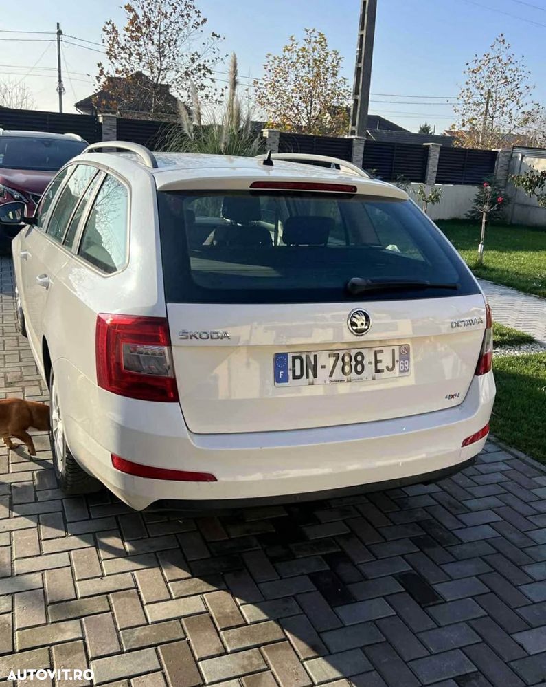 Skoda Octavia 1.6 TDI Ambiente 4x4 - 3