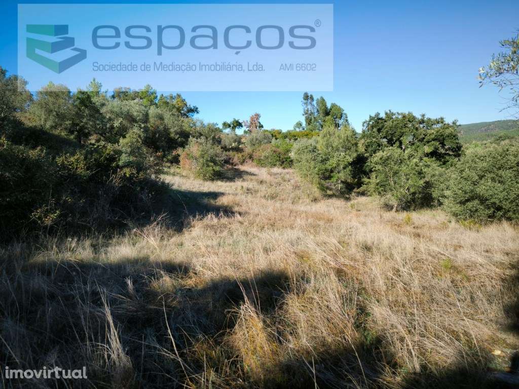 Terrenos com poços - Lentiscais - Grande imagem: 4/19