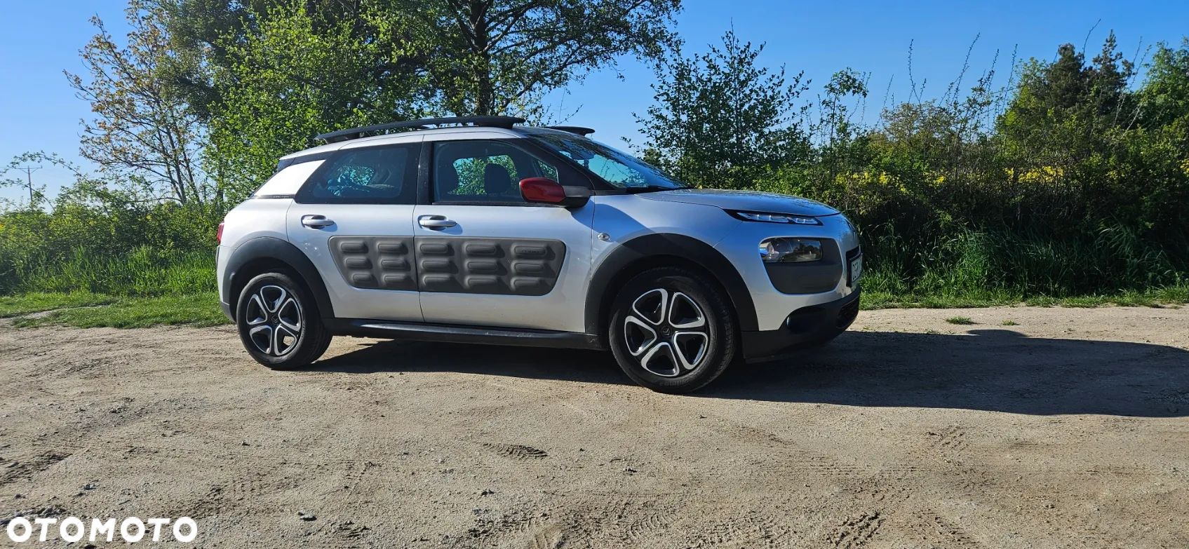 Citroën C4 Cactus - 1