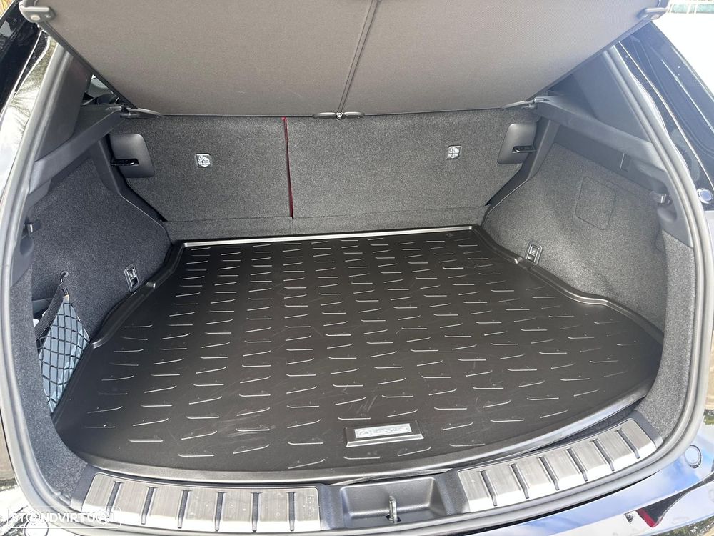 Lexus NX 450h+ F Sport - 24