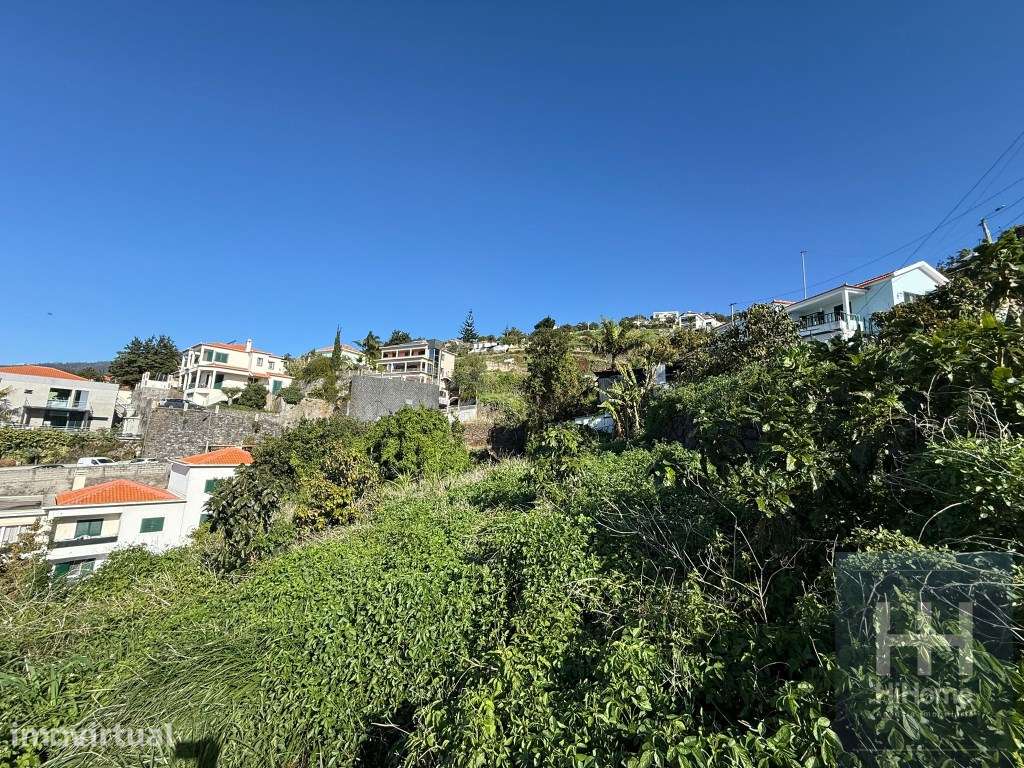 Terreno com 2050 m2 no Jardim Botânico - Vista Mar e Porto do Funchal - Grande imagem: 4/14