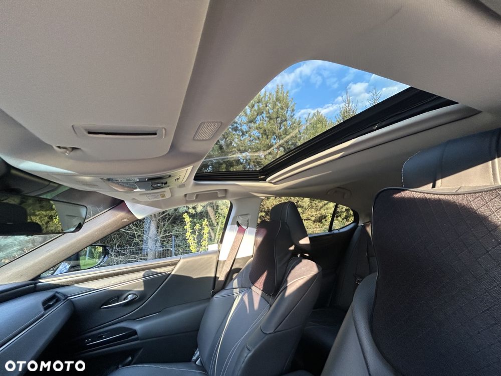 Lexus ES 300h Prestige - 11