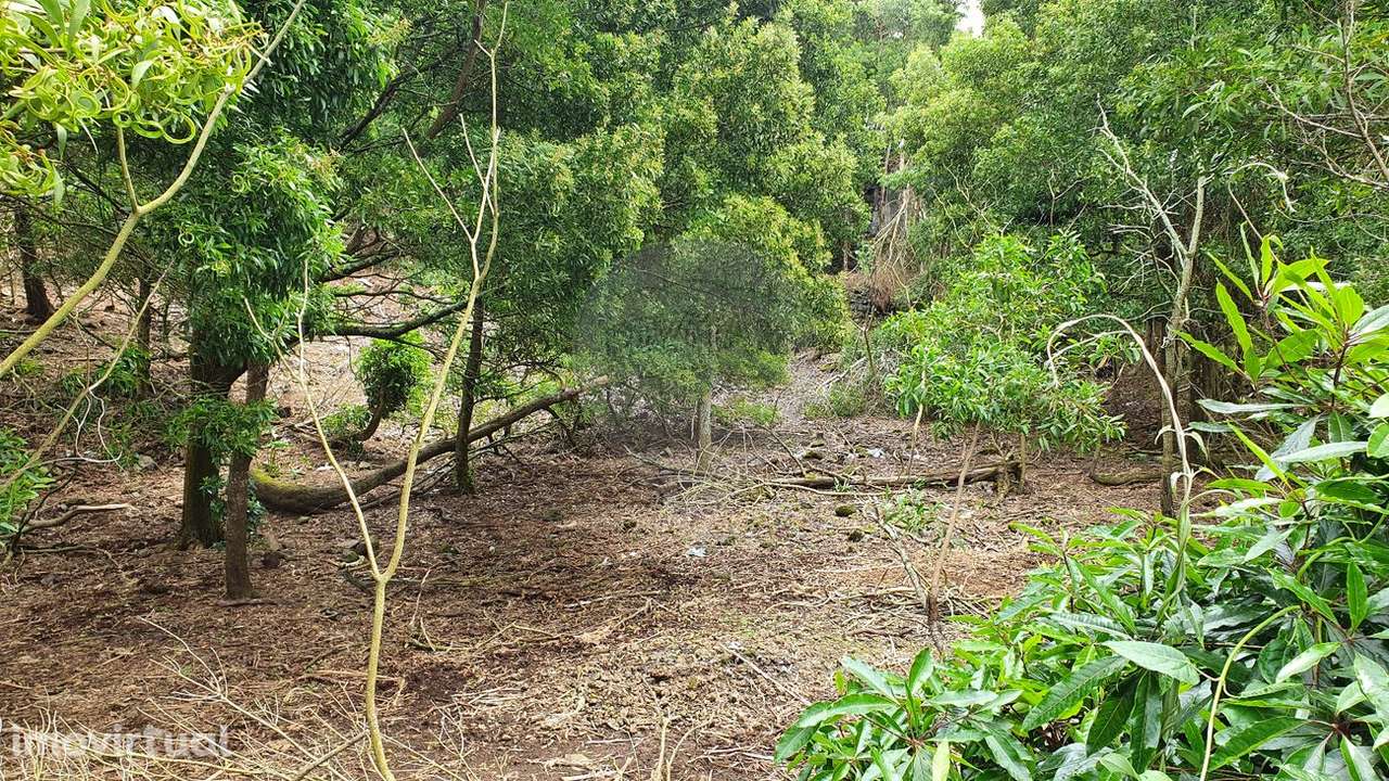 Terreno  para venda - Grande imagem: 2/4