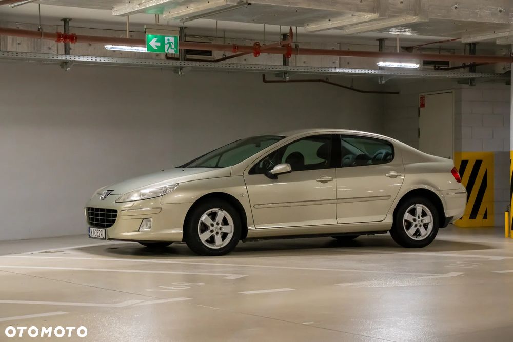 Peugeot 407 - 12