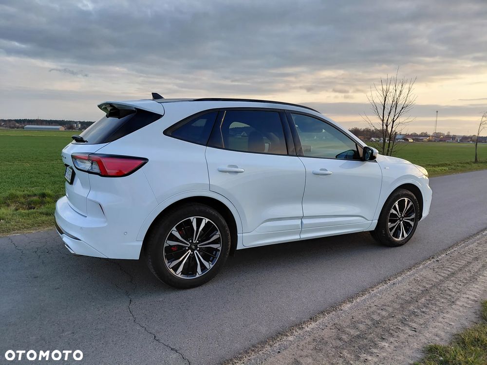 Ford Kuga 2.0 EcoBlue AWD ST-Line X - 7