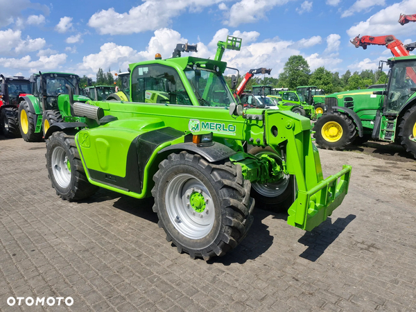 Merlo