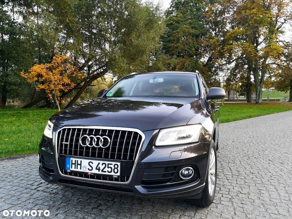 Audi Q5 - 1