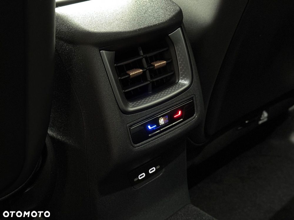Cupra Terramar - 20