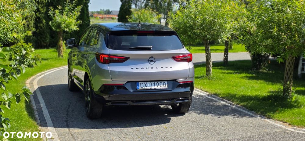 Opel Grandland X - 14