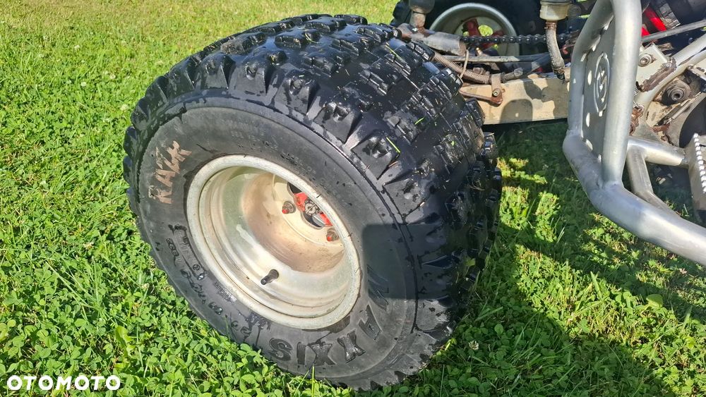Yamaha Raptor - 7