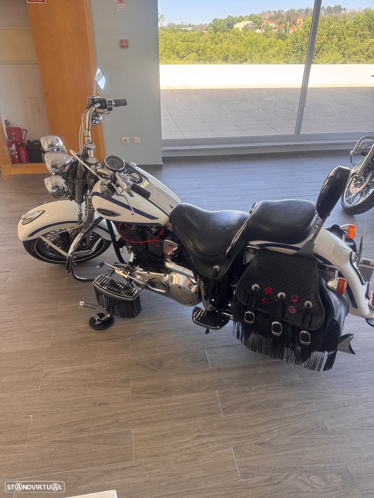 Harley-Davidson FLSTS Springer - 4