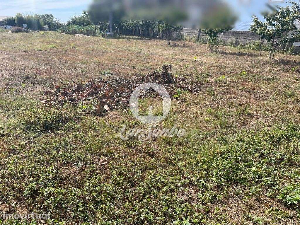 Terreno c/3400m2 para construção de moradias em Apúlia. - Grande imagem: 3/4